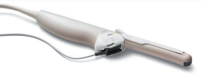 bfp-4