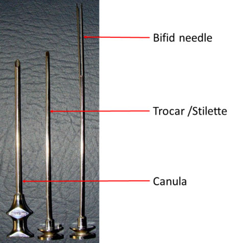genezja_biopsji_prostaty-8